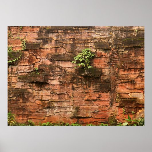 古い壊れたレンガの壁 ポスター (正面)