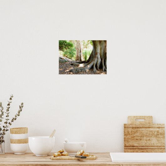 古い大木 ポスター (キッチン)