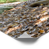 古い大木 ポスター (角)