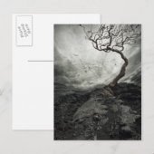 古い孤独な木の上の劇的な空 ポストカード (正面/裏面)