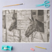 古い安定した馬のティッシュペーパー 薄葉紙 (クラフト)