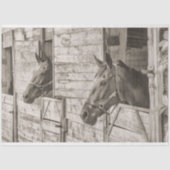 古い安定した馬のティッシュペーパー 薄葉紙 (正面)