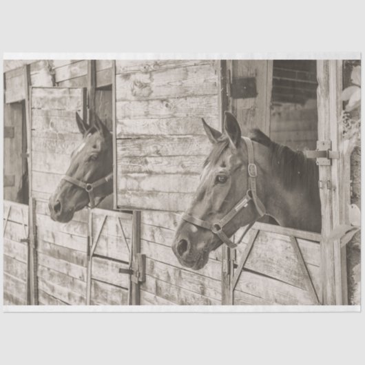 古い安定した馬のティッシュペーパー 薄葉紙 (正面)