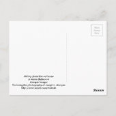 古い小屋の周りのフライス ポストカード (裏面)