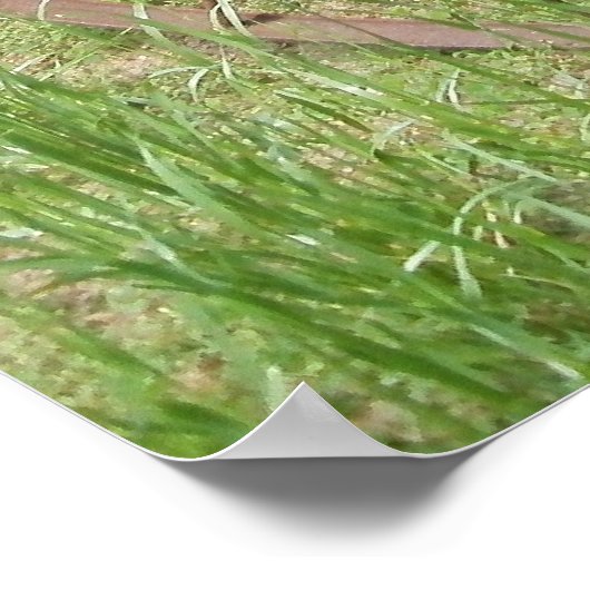 古い干し草レイク2 ポスター (角)