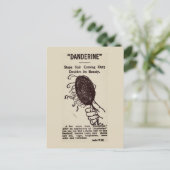 古い広告: Danderine ポストカード (スタンド正面)