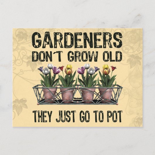 古い庭師 ポストカード (正面)