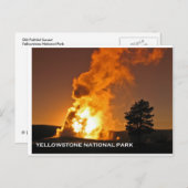 古い忠実な夕日 ポストカード (正面/裏面)