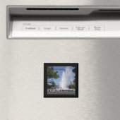 古い忠実な磁石 マグネット (インサイチュ (食洗機))