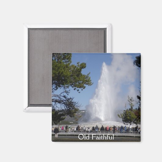 古い忠実な磁石 マグネット (正面/裏面)