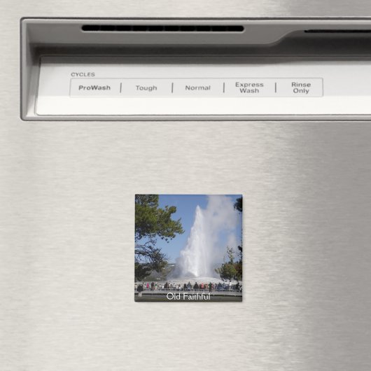 古い忠実な磁石 マグネット (インサイチュ (食洗機))