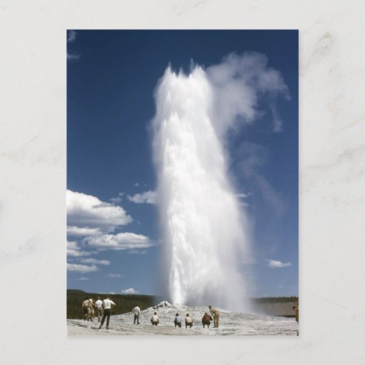 古い忠実な1948年葉書 ポストカード (正面)