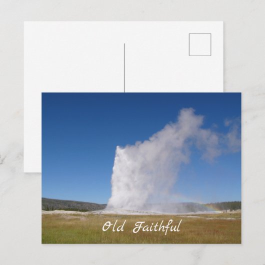 古い忠実はがき ポストカード (正面/裏面)