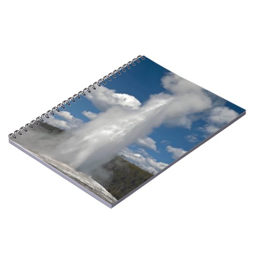 古い忠実 – ノートブック (左側)