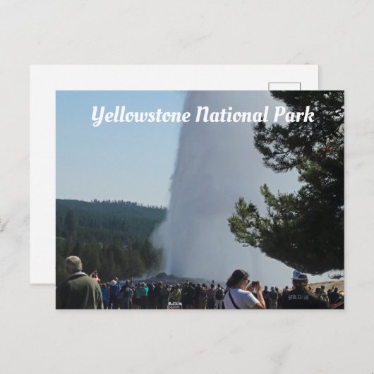 古い忠実 ポストカード (正面/裏面)