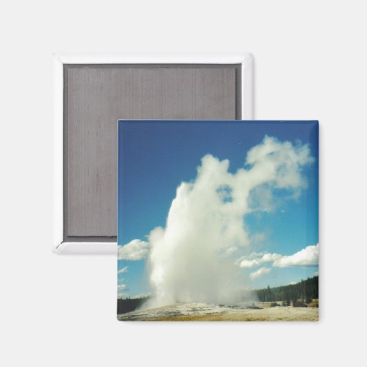 古い忠実 マグネット (正面/裏面)