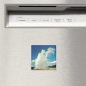 古い忠実 マグネット (インサイチュ (食洗機))