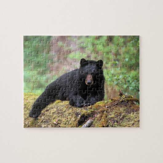 古い成長のログに黒いクマ ジグソーパズル (横)