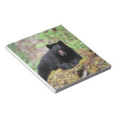 古い成長のログに黒いクマ ノートパッド (アングル)