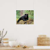 古い成長のログに黒いクマ ポスター (キッチン)