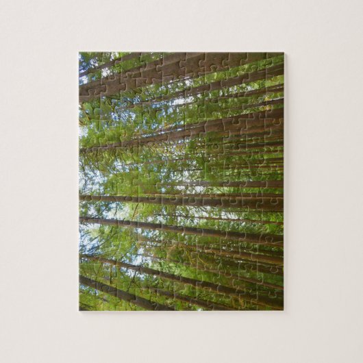 古い成長の森を見上げる ジグソーパズル (縦)