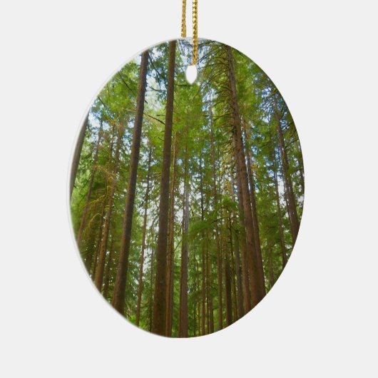 古い成長の森を見上げる セラミックオーナメント (右)