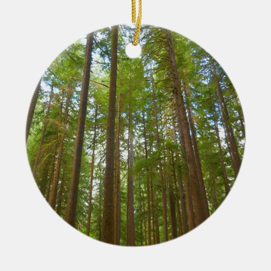 古い成長の森を見上げる セラミックオーナメント (正面)