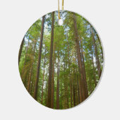古い成長の森を見上げる セラミックオーナメント (左)