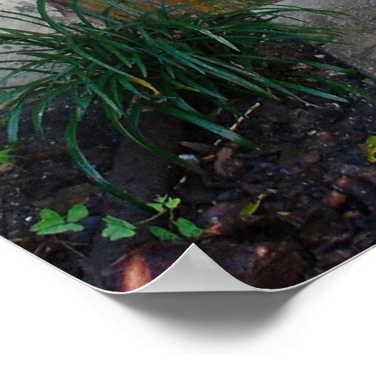 古い戸口 ポスター (角)