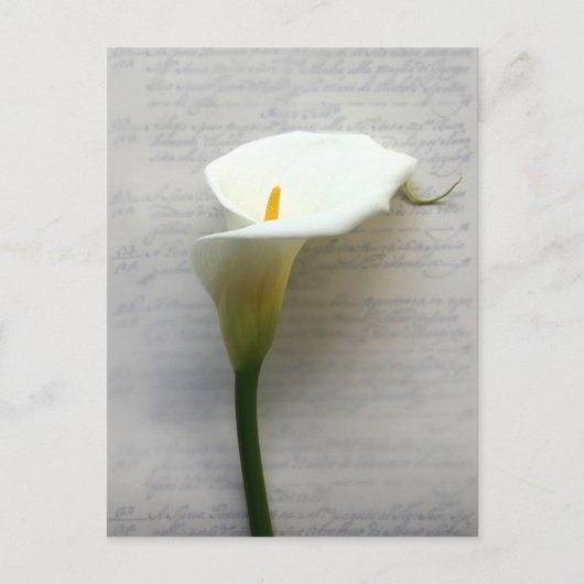 古い手書き葉書にユリを貼る ポストカード (正面)