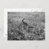 古い日のポンプ ポストカード (正面/裏面)