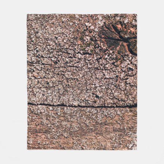 古い木のテクスチャcloseupaからの抽象芸術背景 フリースブランケット (正面)