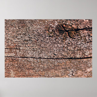 古い木のテクスチャcloseupaからの抽象芸術背景 ポスター