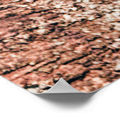 古い木のテクスチャcloseupaからの抽象芸術背景 ポスター (角)