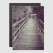 古い木の遊歩道 (正面/裏面)
