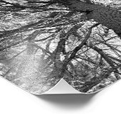 古い木を取り除く フォトプリント            (角)