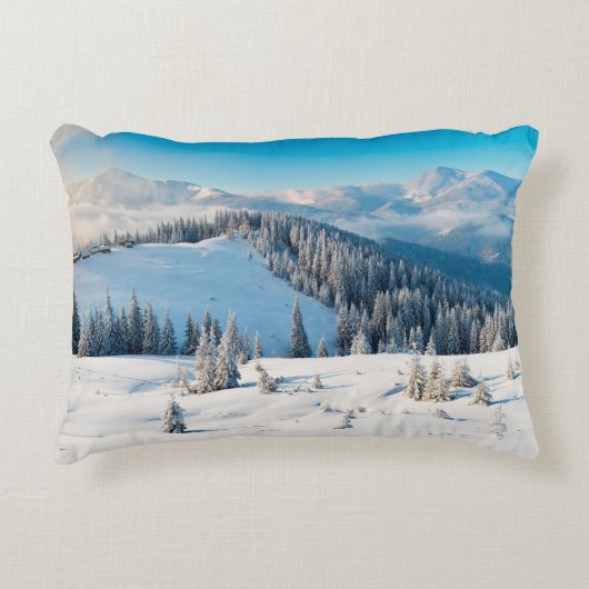 古い木グランジの地質や地肌にテルミがある アクセントクッション (正面)