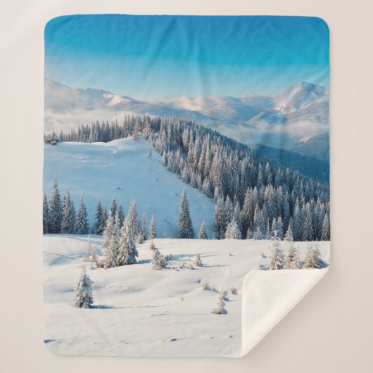 古い木グランジの地質や地肌にテルミがある シェルパブランケット (正面)