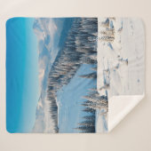 古い木グランジの地質や地肌にテルミがある シェルパブランケット (正面(横))