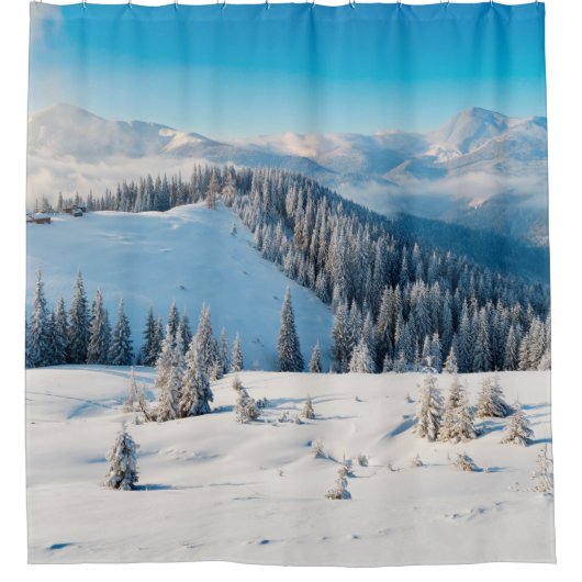 古い木グランジの地質や地肌にテルミがある シャワーカーテン (正面)