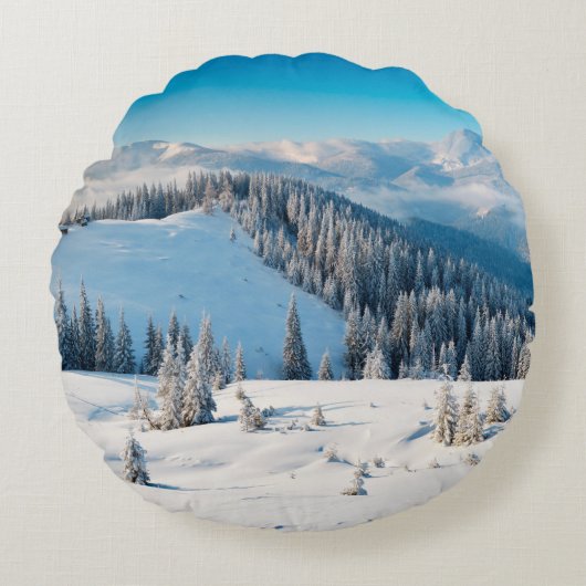 古い木グランジの地質や地肌にテルミがある ラウンドクッション (正面)