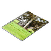 古い木製のシャックスパイラルノート ノートブック (左側)