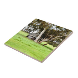 古い木製のシャックセラミックのタイル タイル