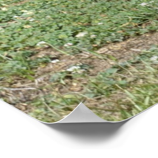 古い木製の小屋 ポスター (角)