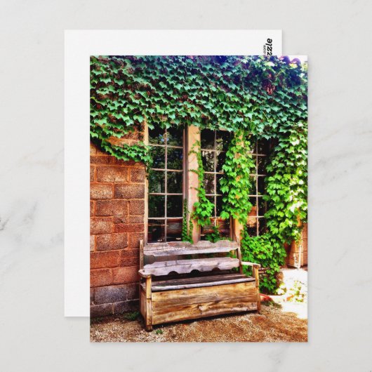 古い木製カントリーベンチアイビーつる植物はがき ポストカード (正面/裏面)
