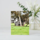 古い木造の小屋 ポストカード (スタンド正面)