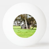 古い木造の小屋 卓球ボール (正面)