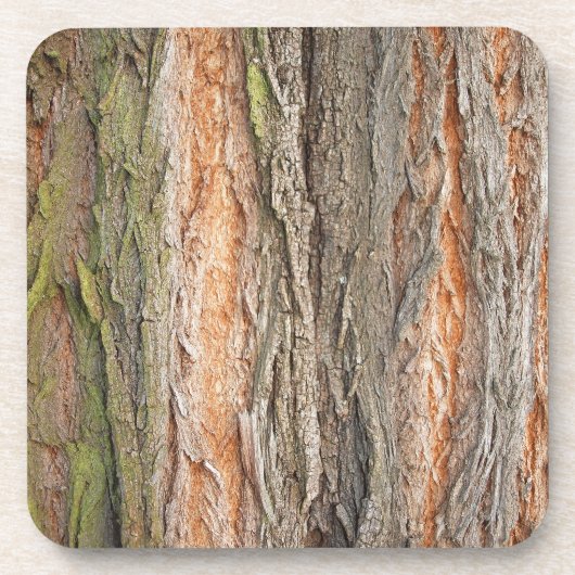 古い木 コースター (正面)