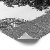 古い木 ポスター (角)