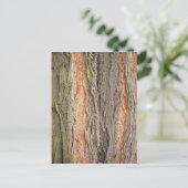 古い木 ポストカード (スタンド正面)